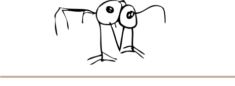 Awesome Araucana Chicken Hatchery